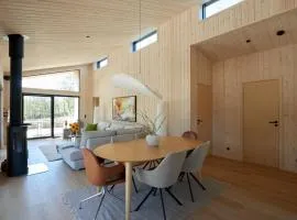 Newly built luxury house with spa & shelter near Aalborg
