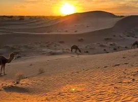 Sahara wild camping