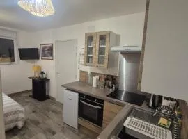 Comfortable one-story studio apartment