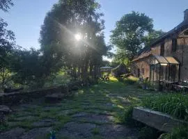 The Village