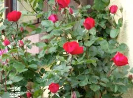 Chambres D'hotes Du Vignoble