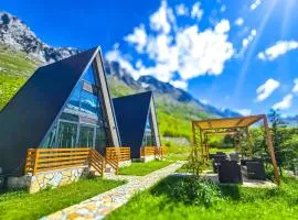 Arditi's Chalets