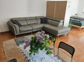 Premium Home 2