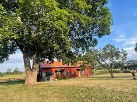 A large dream house in the countryside, but close to everything
