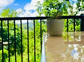 Oli Guest House Diyathalawa