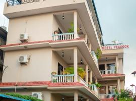 Peacock - a family-run hotel, ξενοδοχείο σε Sauraha