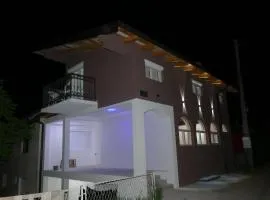 Blue Nest