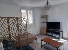 Studio F1 cosy en centre ville