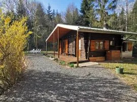 Chalet - gîte avec étang