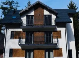Apartamenty nad Przełomem Dunajca - Sauna & Balia