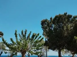 Sea-view apartment in Akrata