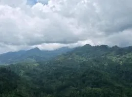 RT Point Gombamiya