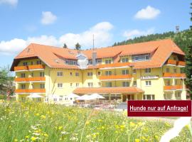 Burg Hotel Feldberg, hotel Feldbergben