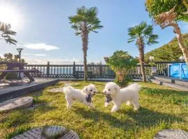 geoje yeoul pet-friendly pension