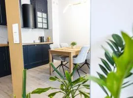 Apartament SOHO2