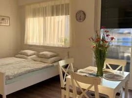 TRIO apartment
