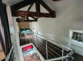 AU 2B 46 Ravissant duplex