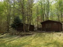 Blockhütte auf Naturcampingplatz im Wald