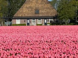 B&B Idylle aan Zee incl 2 Wellnessstudios, Hotel in Sint Maartensvlotbrug