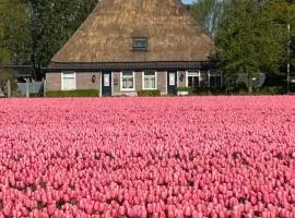 B&B Idylle aan Zee incl 2 Wellnessstudios