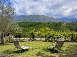 Belvedere da Fernanda