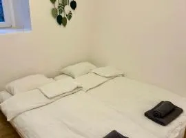 Private Camino de Santigo House in Rabaçal