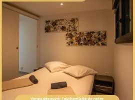 Appartement idéal pour frontaliers et vacanciers