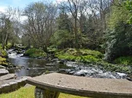 Waterwheel