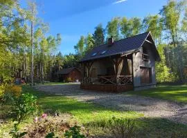 Domek na wynajem Lgiń