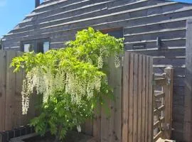 Milk Shed