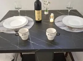 Airport apartment Delić