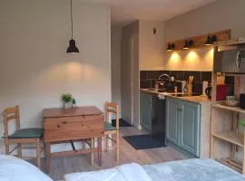 Studio Comfort au Lioran - Linge et ménage inclus - Lit Queen, Parking privé