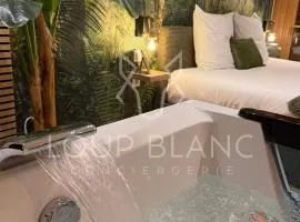 Spa et sauna - Loft Cataleya