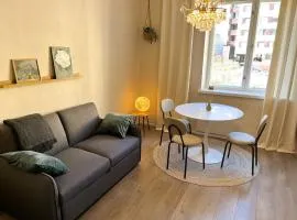 Compact and cozy newly renovated apartment