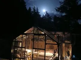 L'Ô Ré des Bois, hébergement insolite Clair de Lune, Bain norvégien, sauna, kota