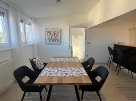 Helles, großzügiges Loft mit Fernblick
