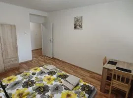 Apartmán pro 5-6 osob, Meziboří M1