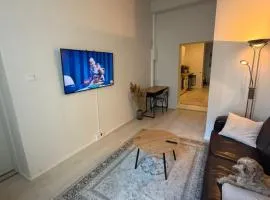 Borg Antinkatu, 2-Room Downtown Apt
