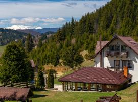 Pensiunea Poienita Ursului, Hotel in Fundata