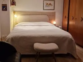Studio Verde