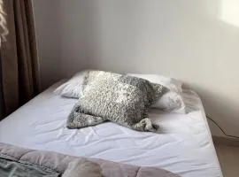 Zigzag