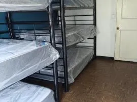 Bunk bed Apt