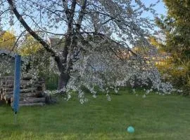 4 star holiday home in ALINGSÅS