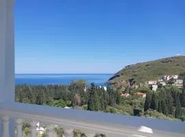 Dimitra's Apartments 4 klm away from Chora