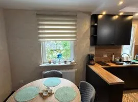 Apartament przy kanale