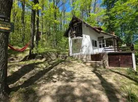 Forest House Bukulja