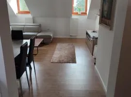 Apartma Šumer Rogla
