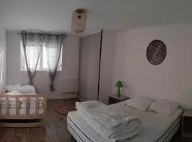 Appartement Saint Sulpice la Pointe