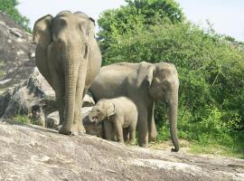Paramount Safari Udawalawe, hotel en Udawalawe
