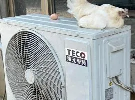 拇指園民宿
